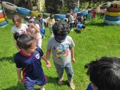 image-slider-with-thumbnail7.jpeg